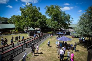 The Karaka May Sale will be held on 7 and 8 May at Karaka.